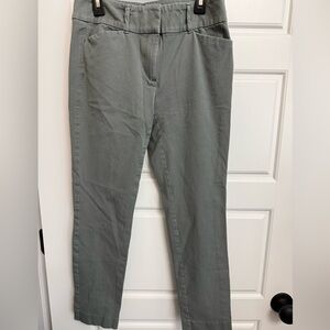 Loft Outlet Skinny Ankle Pants